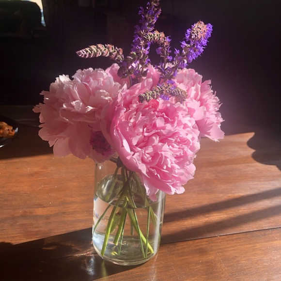 Meet your Posher, L - Picture 1 of 1